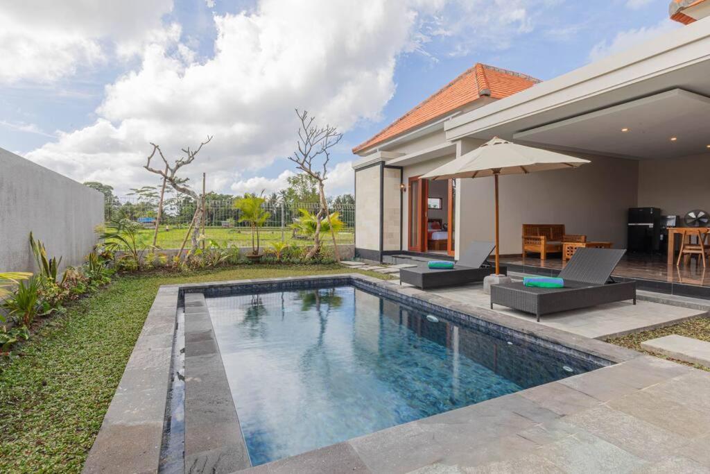 New Private Pool Villa - Villa Dhea Ubud المظهر الخارجي الصورة